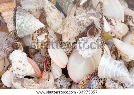 Many hanging shells in souvenir shop