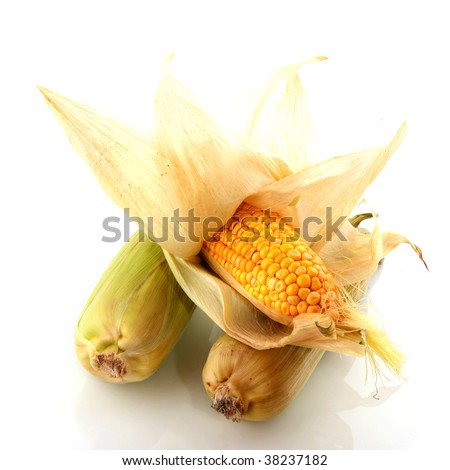 several raw maize isolated over white background