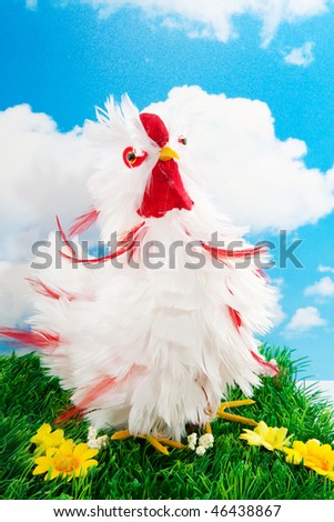 Funny white feathered chicken in nature landscape