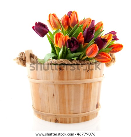 wooden sauna bucket with a bouquet colorful tulips