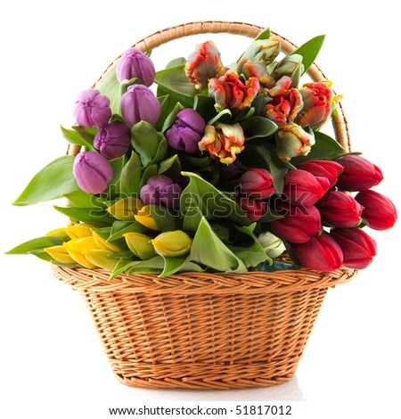bouquets of tulips. ouquets of tulips on