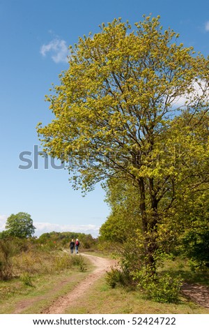tree in nature landscape with walking people at spring