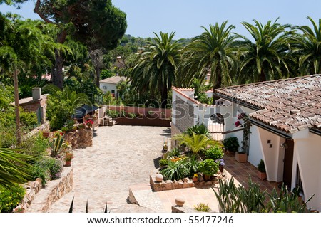 Spanish house with palm trees in nature