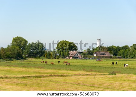 Typical flat Dutch landscape with pastures and farm houses