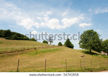 Dutch landscape with green hills and trees