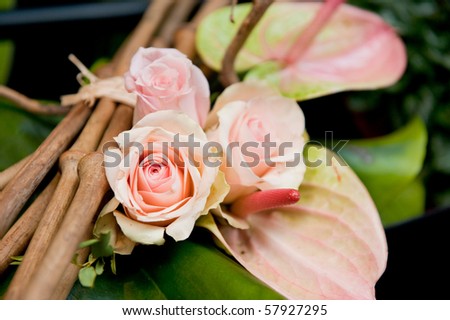 pink rose flower arrangements. stock photo : Modern flower