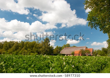 farm house in landscape with potatoes in agriculture fields