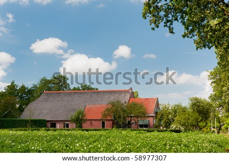 farm house in landscape with potatoes in agriculture fields
