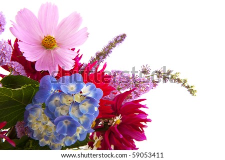 Cosmos Flower Bouquet