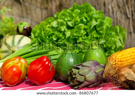 Still life with various vegetables outdoor in the sun