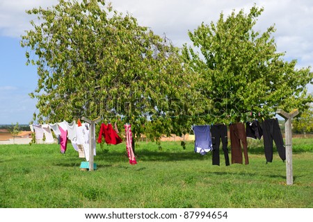 Hanging laundry at line outdoor in the garden