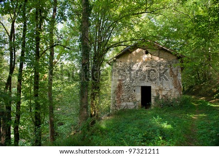 Old house in the middle of a forest