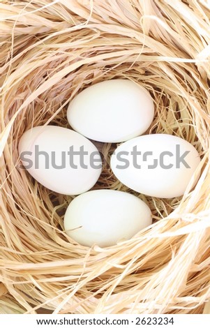 easter nest