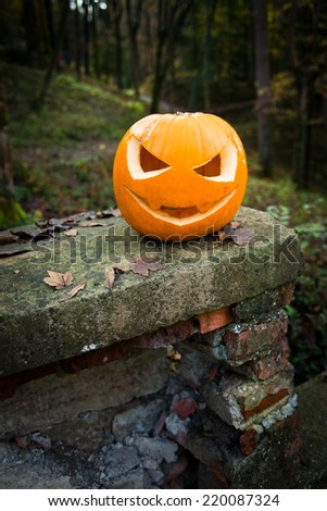 Creepy halloween pumpkin lantern on an ancient stone with forest on background.