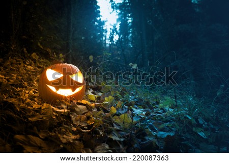 Creepy halloween pumpkin lantern with lit candle at sunset in the forest.