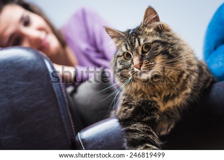 Beautiful cat and young woman lying on a leather sofa