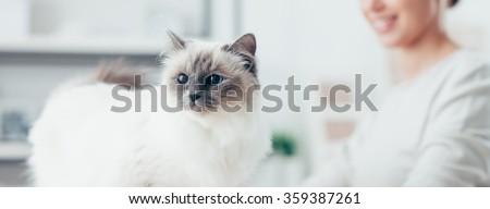 Young smiling woman and her lovely cat posing at home, pet care and lifestyle concept