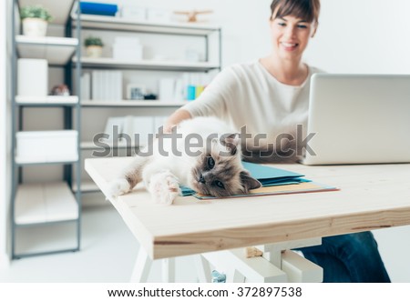Young woman at home working at desk and cuddling her lovely cat, pets and lifestyle concept