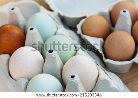 Bio egg still life, including also coloful araucana chicken eggs on the left side and small guineafowl eggs on the right.