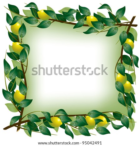 Isolated raster version of vector square frame with four lemon branch