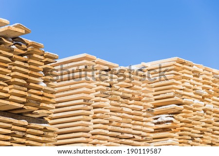construction market texture tree outdoors in a village near Moscow Mikhnevo