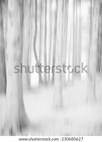 Monochrome trees, Blea tarn, Cumbria, UK
