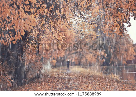 autumn park, rainy background / autumn landscape background rain texture in an October park, walk in bad weather, drops of water, windy weather, bad weather, sad mood