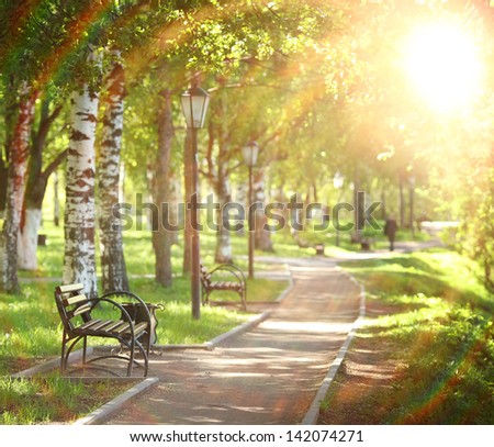 bench in the Magic Forest
