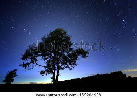 Night lonely tree falling stars