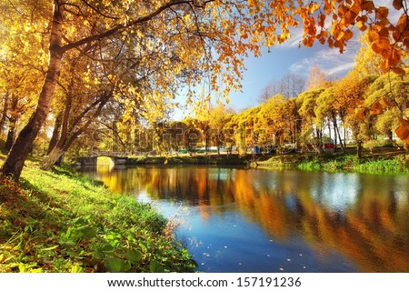 Pond in autumn, yellow leaves, reflection