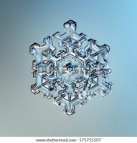 macro snowflake ice crystals present natural