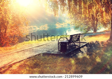 bench in the autumn park sun colorfully