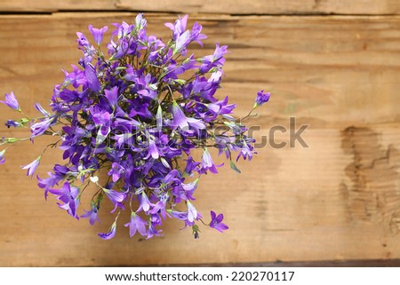 small field of purple flowers, bells bouquet