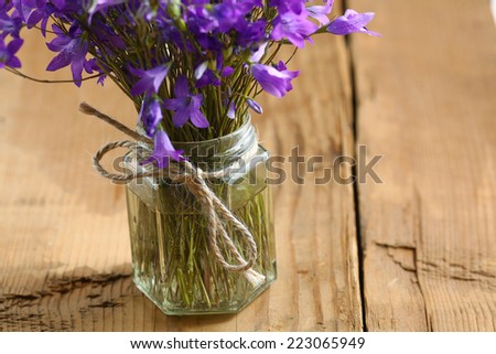 small field of purple flowers, bells bouquet