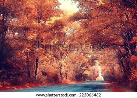 golden autumn landscape Indian summer