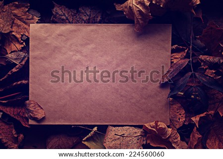 paper letter fallen leaves concept