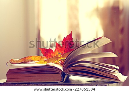 book pages yellow leaves of autumn concept