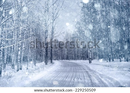 Winter road in snowy forest landscape