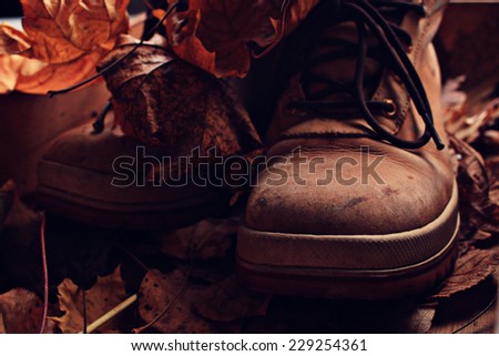 old broken leather shoes autumn leaves tour