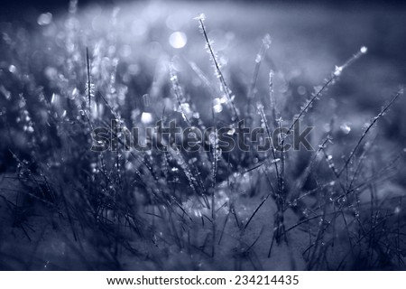 frozen grass with snow and hoarfrost