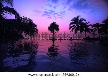 palm sea sunset evening landscape journey