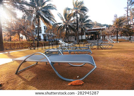 hotel lounges palm landscape