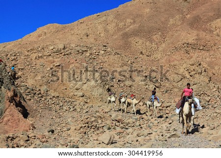 Sharm El Sheikh, EGYPT Ã?Â¢?? JUNE 15: escalators caravan of camels in the mountains of Sinai Blue Hall on JUNE 15, 2015, in Sharm El Sheikh, Egypt