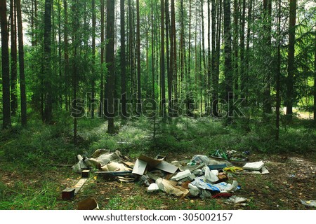 garbage dump in the woods