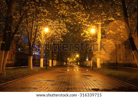 alley autumn city landscape night rain