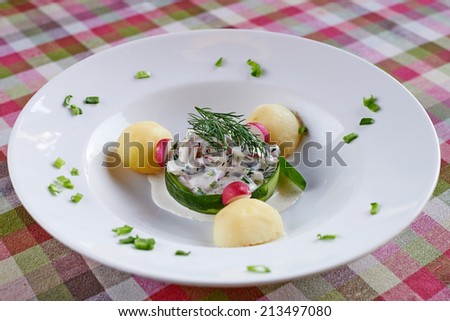 Appetizing Dish in Culinary Art, on Checkered Table Cloth