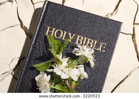 bible with flower