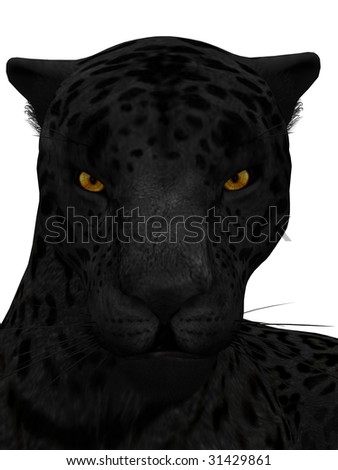 stock photo A black jaguar isolated on white background