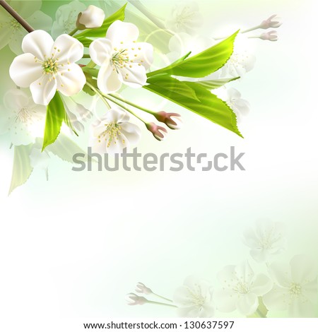 Blossoming Tree Branch With White Flowers On Bokeh Green Background. Vector Illustration