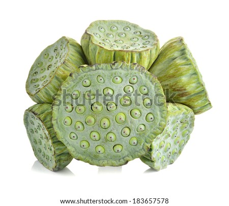 Bouquet of Lotus seed pod